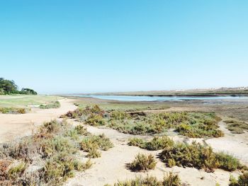 Scenic view of landscape against clear sky