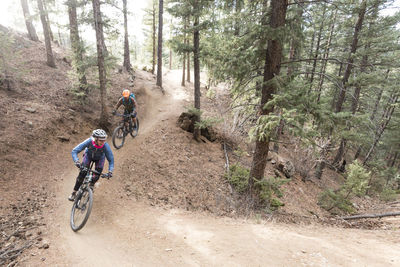 High angle view of friends mountain biking in forest at lair o