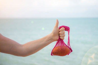 Close-up of hand holding sea against sky