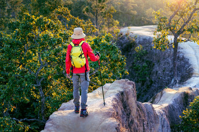 Rear view of man standing on rock