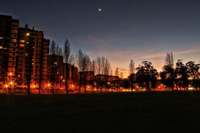 Trees against sky at night