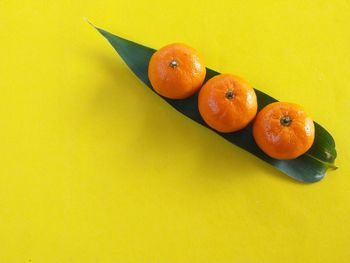 High angle view of oranges on table