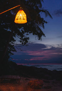 Illuminated tree by sea against sky at sunset