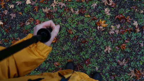 Low section of person standing on field