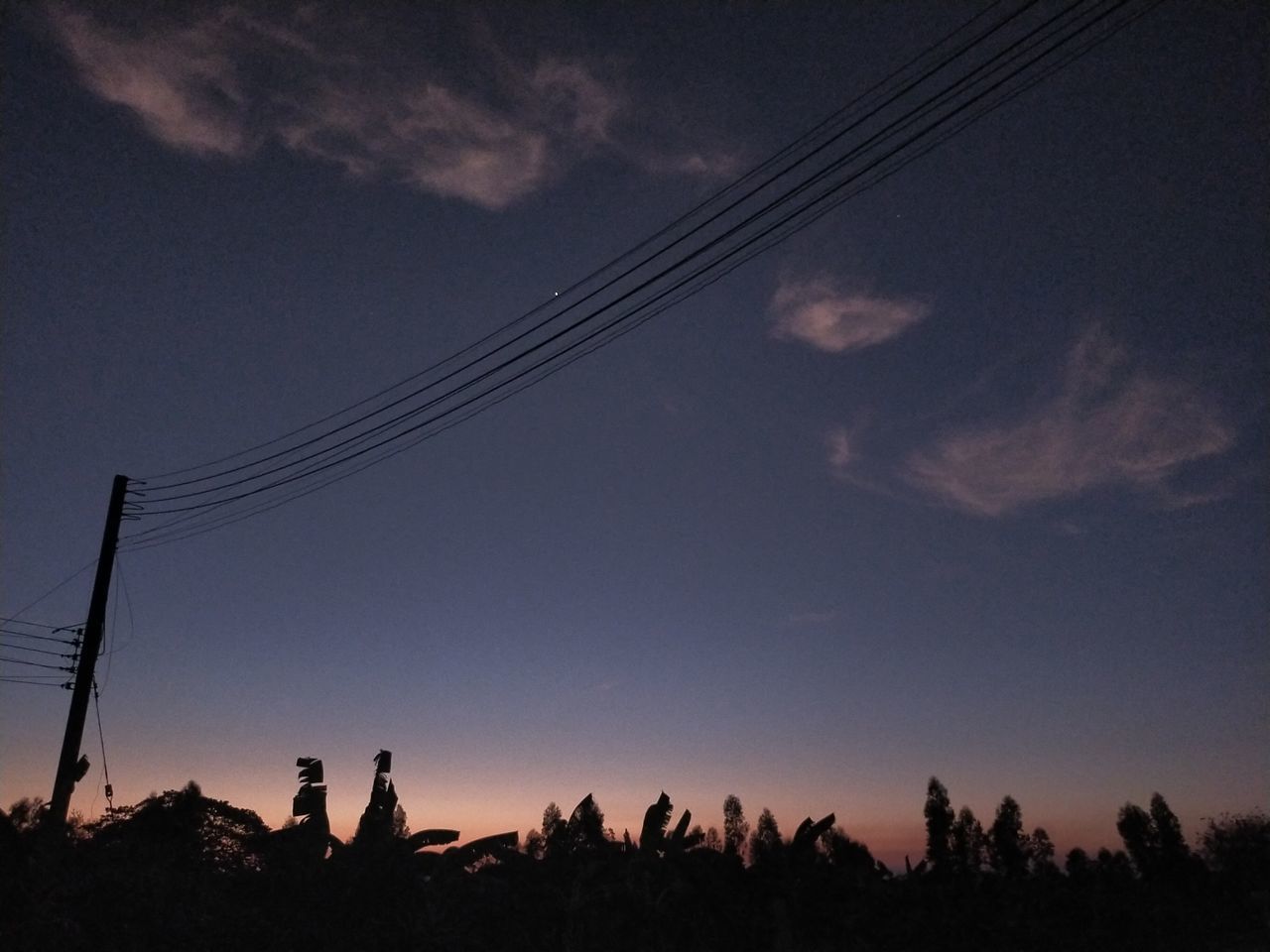 LOW ANGLE VIEW OF SILHOUETTE TREES AGAINST SKY AT NIGHT