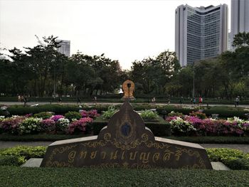 View of flowering plants in park