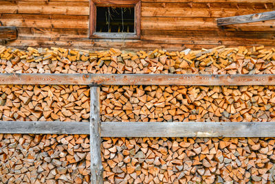 Stack of logs in forest