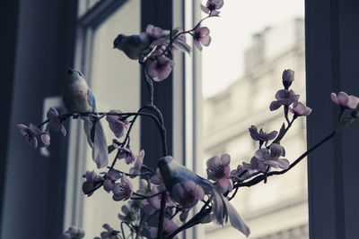 Close-up of bird perching on flower