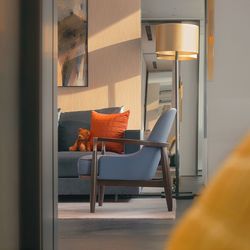 Photo of a chair in a family living room with the late afternoon sun shining through the window.