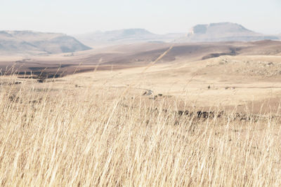 Scenic view of land against sky