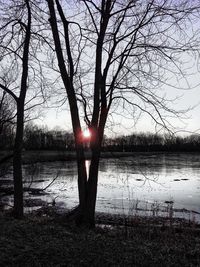 Bare tree by lake against sky