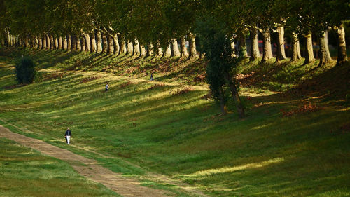 View of people walking on field