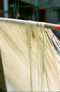 Close-up of wood against blurred background