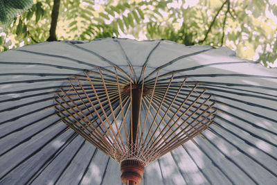 Low angle view of plant against trees