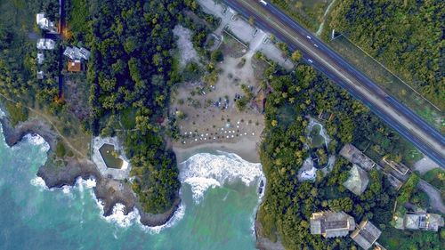 High angle view of trees by sea