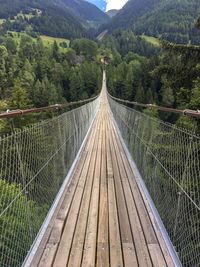 View of footbridge in forest