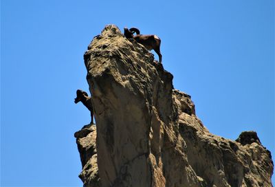 Low angle view of bird on rock against clear blue sky