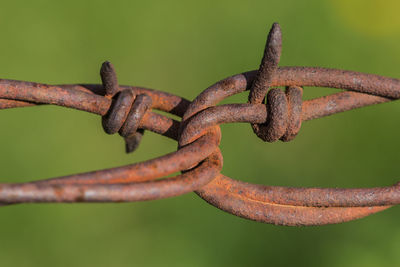 Close-up of barbed wire against blurred background