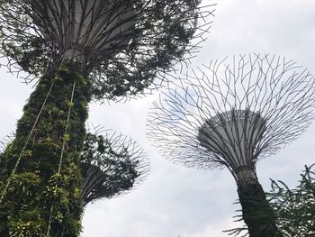 Low angle view of tree against sky