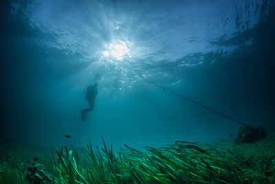 Scuba diver swimming underwater