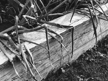 High angle view of old metal structure on field
