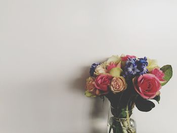 Close-up of red flowers over white background