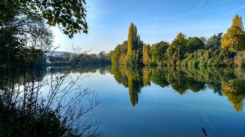 Reflection of trees in lake against sky
