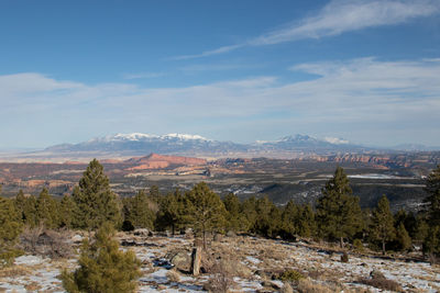 Scenic view of landscape against sky