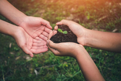 Close-up of cropped hands of person giving seeding to friend over field 
