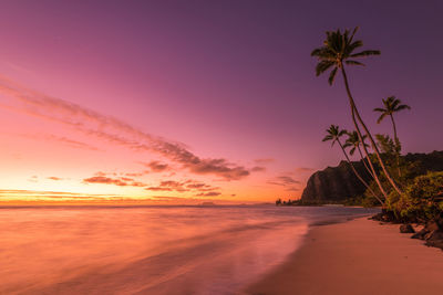 Scenic view of beach during sunset