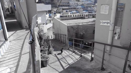 Panoramic view