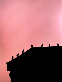Low angle view of birds perching on roof