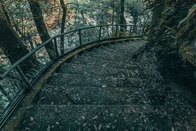 High angle view of empty steps in forest