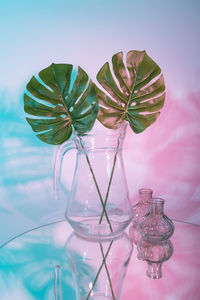 Close-up of leaves in glass vase on table