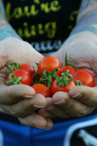 Close-up of hand holding tomatoes