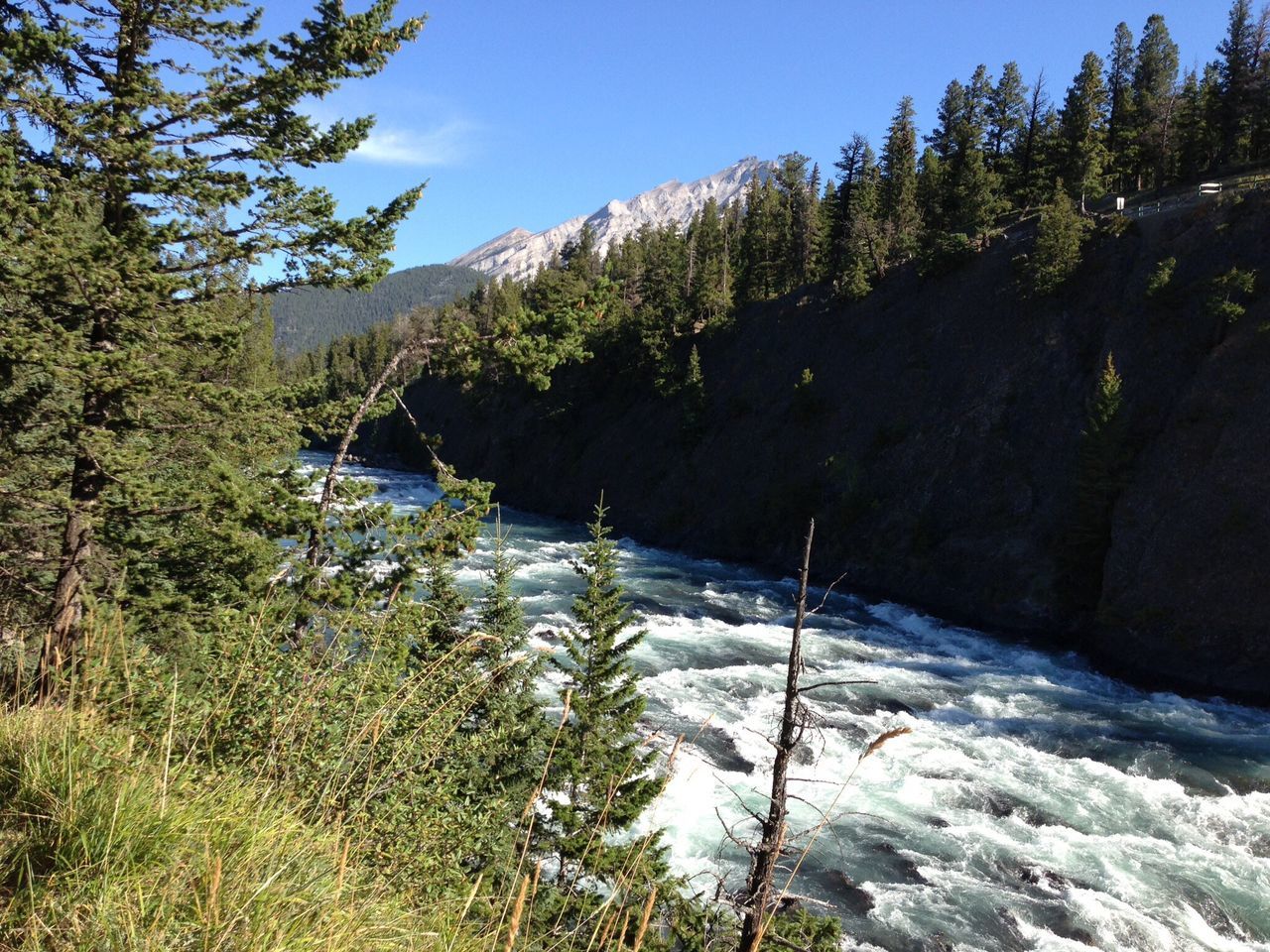 SCENIC VIEW OF RIVER FLOWING THROUGH ROCKS