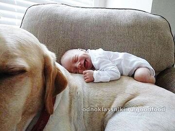 relaxation, indoors, sleeping, bed, resting, lying down, pets, animal themes, baby, eyes closed, dog, person, comfortable, togetherness, blanket, domestic animals, cute, love