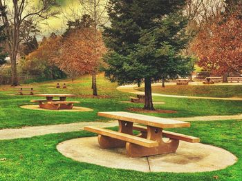 Bench in park during autumn