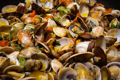 Full frame shot of clams