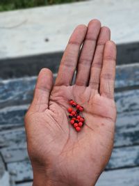 Close-up of hand holding berries