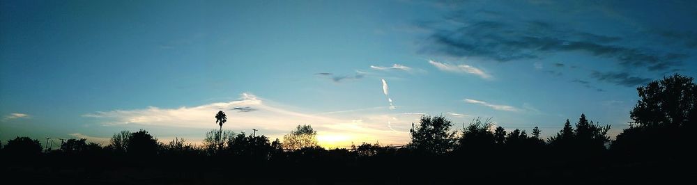 Low angle view of silhouette trees against sky during sunset