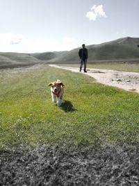 Man with dog on mountain against sky