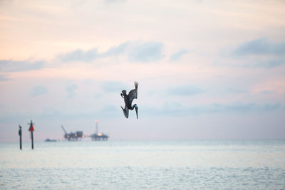 Bird flying over sea against sky