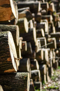 Close-up of logs