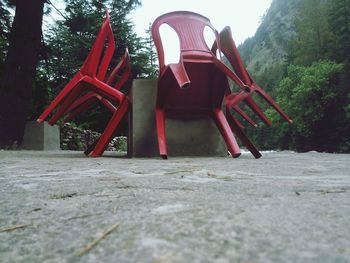 Red chairs on trees