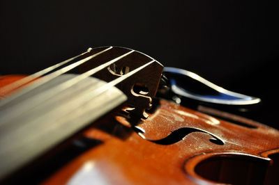 Close-up of violin