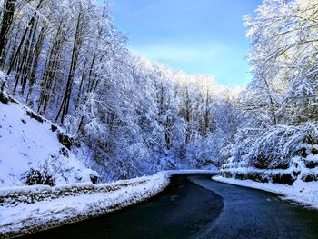 Snow covered road amidst trees against sky