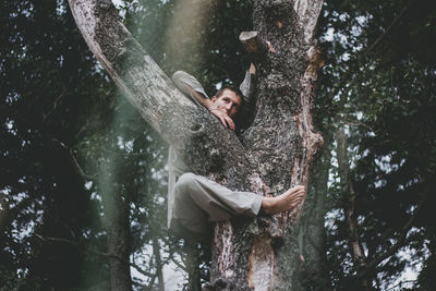 Young man climbing on tree