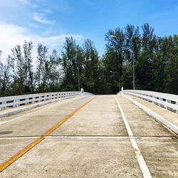 Bridge leading towards trees against sky