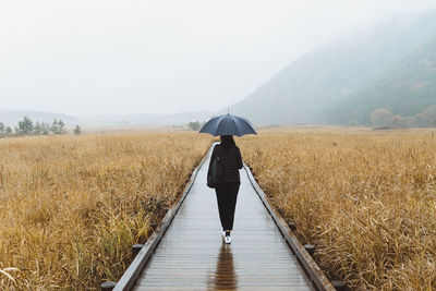 Rear view of man standing on landscape during rainy season